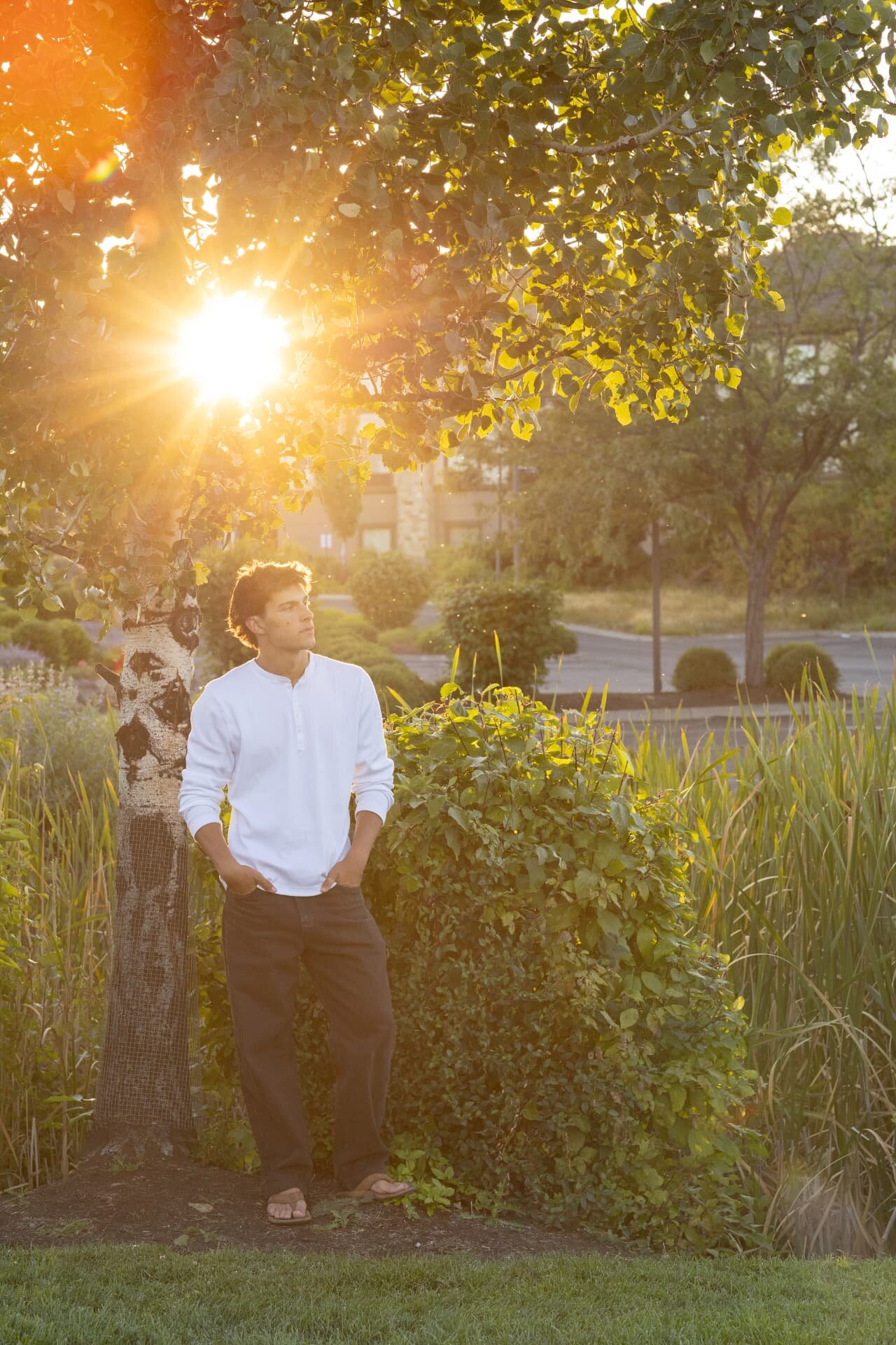 Senior guy standing beneath an aspen with the sun flaring through the leaves